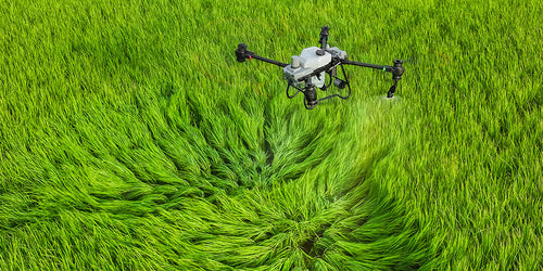 DJI Agras T50 spraying over a crop field