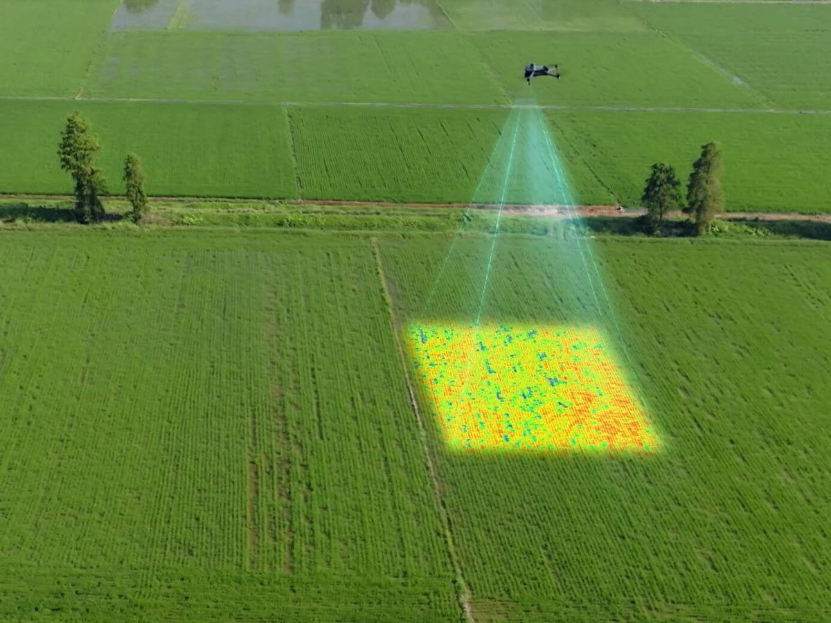 DJI Terra agricultural vegetation-index mapping illustration; aircraft and other hardware are not included